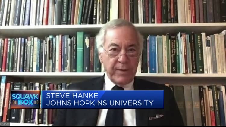 Steve Hanke says the U.S. Fed is too late in pivoting away from interest rate hikes