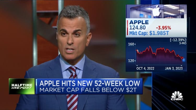 Apple has lost its positive momentum, says Virtus' Joe Terranova