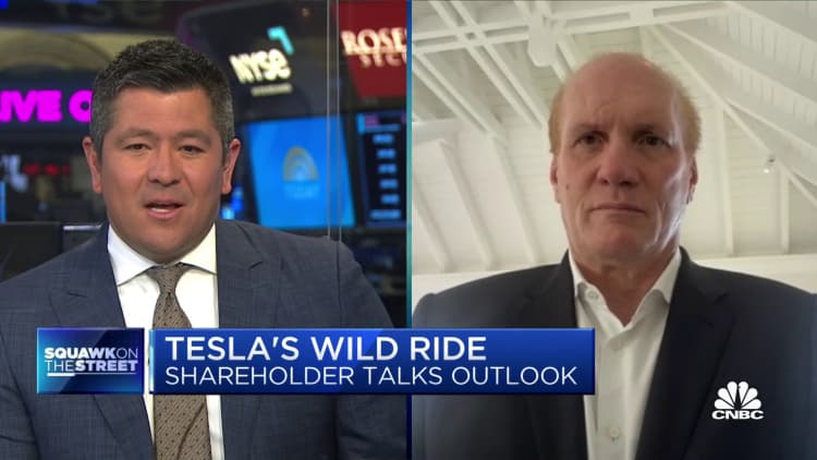 Aksionet e Tesla-s do të rikthehen pavarësisht numrave të dobët të ofrimit, thotë aksionari Gary Black