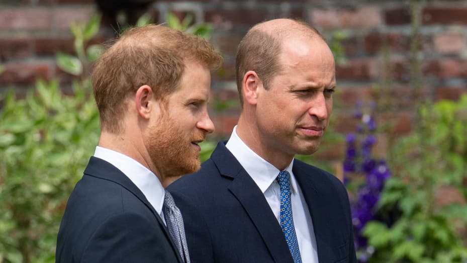 Prince Harry's new book alleges physical attack by brother William