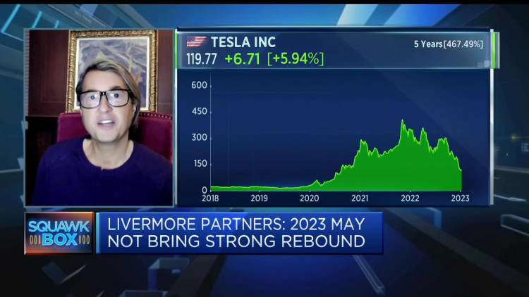 The hedge fund manager says Tesla stock was 