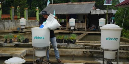 Startups are raising big bucks to fill a tech gap in Indonesia's seafood farming