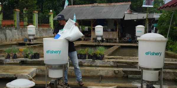 Indonesia's seafood farming industry faces a 'technology gap' — and startups are raising big bucks to fill it