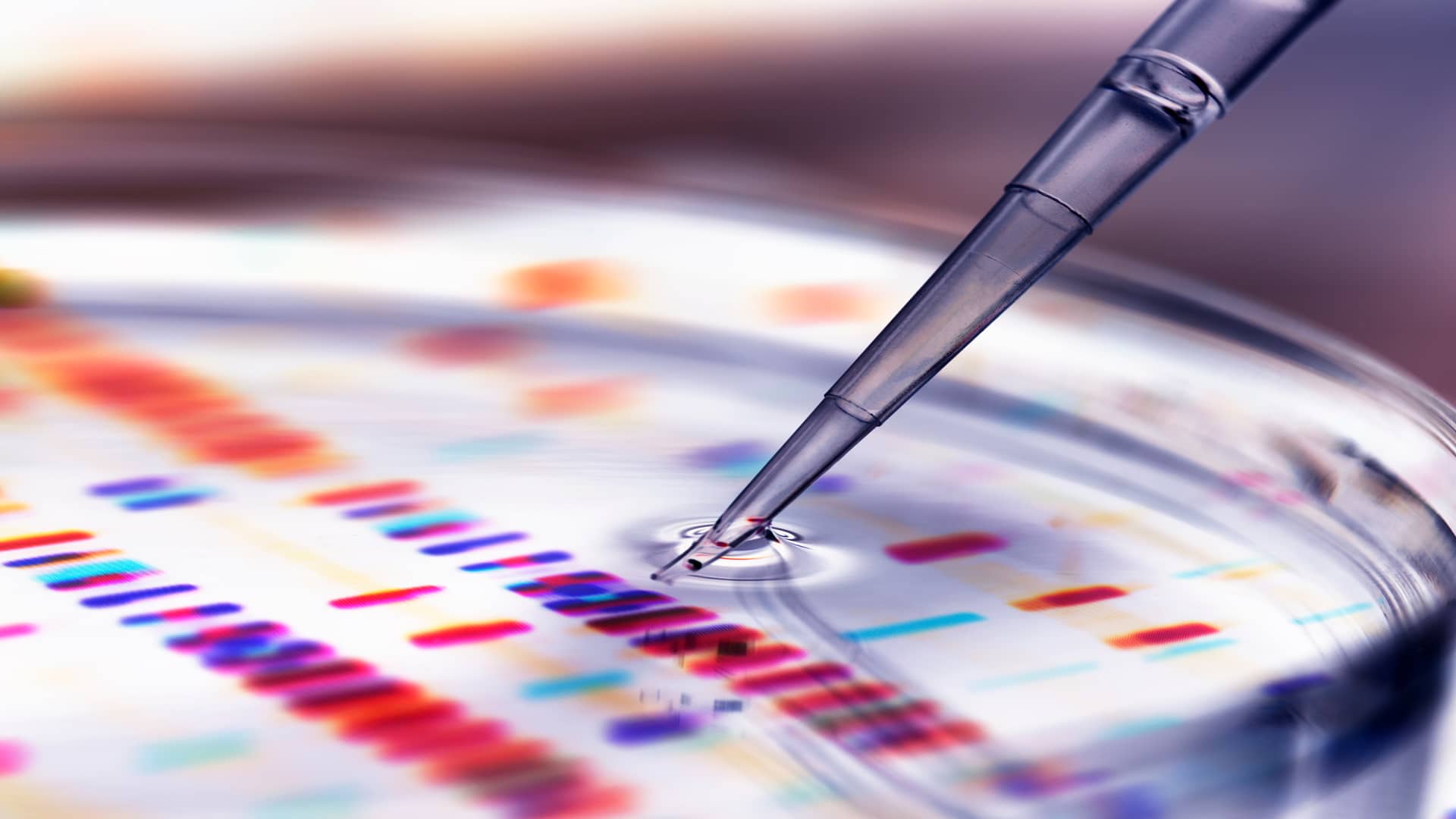 The human genome scientists use to scout for disease just got a major makeover