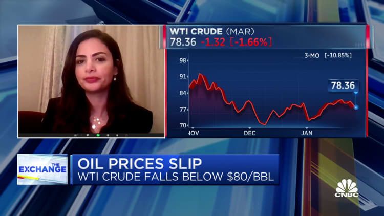 OPEC unlikely to recommend 'rash' changes to current oil policy, says Amena Bakr