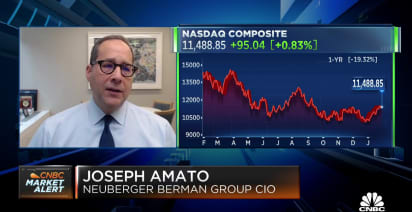 Watch CNBC's full interview with Neuberger's Joseph Amato