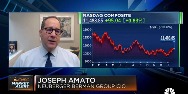 Watch CNBC's full interview with Neuberger's Joseph Amato