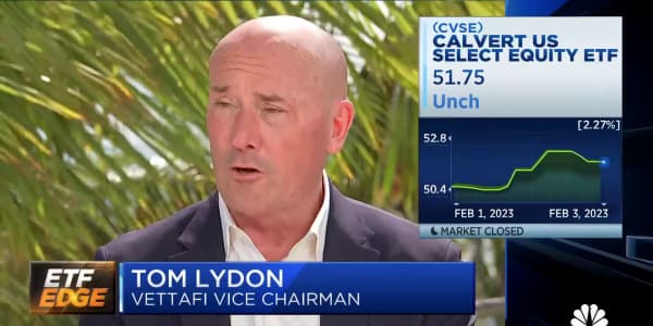 Cathie Woods-type energy and tech stocks are getting investor backing, says Vettafi's Tom Lydon