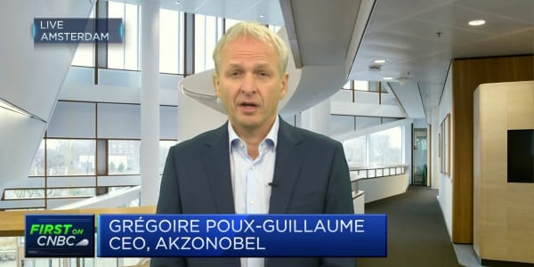 Akzo Nobel CEO: More price increases to come