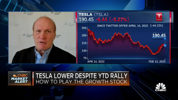Tesla is still very cheap, says Future Fund's Gary Black