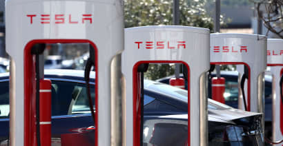 Tesla a 'screaming buy' or bellwether for zombie stocks? Bulls and bears weigh in