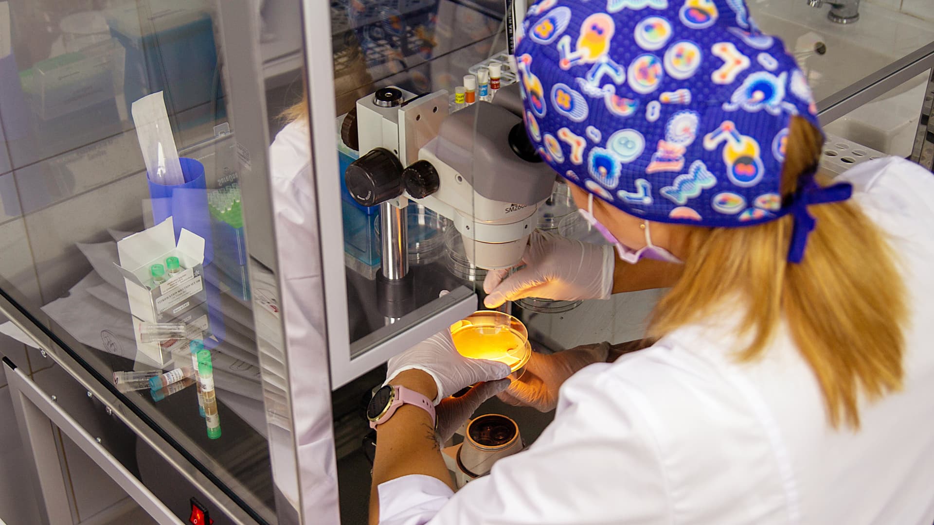 An embryologist assesses the quality of retrieved oocytes - a female germ cell - prior to fertilization.
