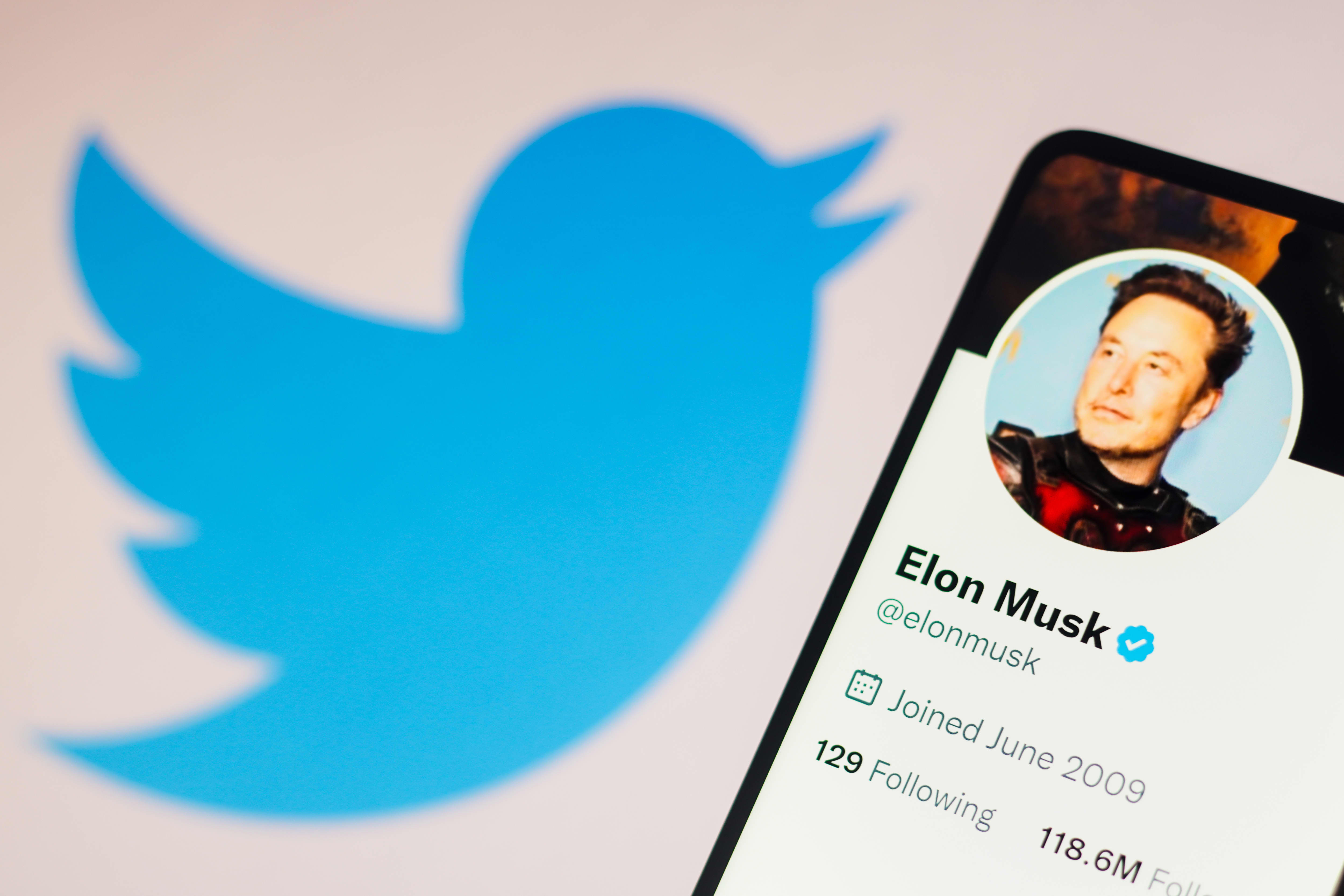 Elon Musk kündigt die Änderung des Twitter-Logos an und verabschiedet sich von allen Vögeln