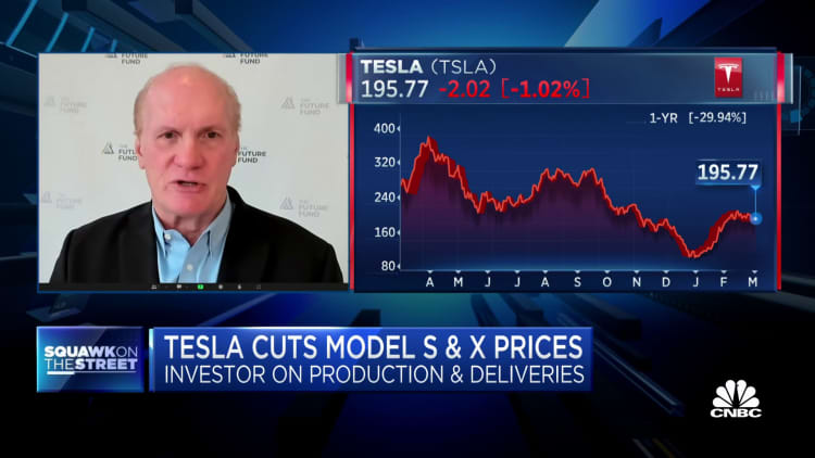 We are still pretty bullish on Tesla stock, says Future Fund's Gary Black