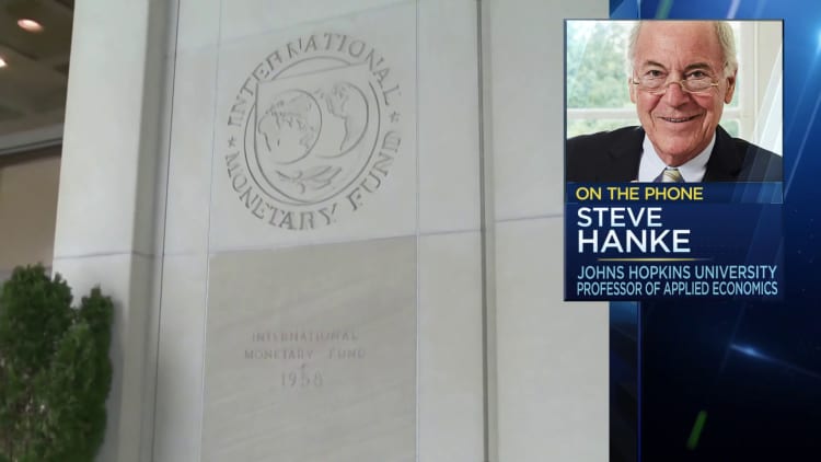  None of these IMF programs work, says Steve Hanke
