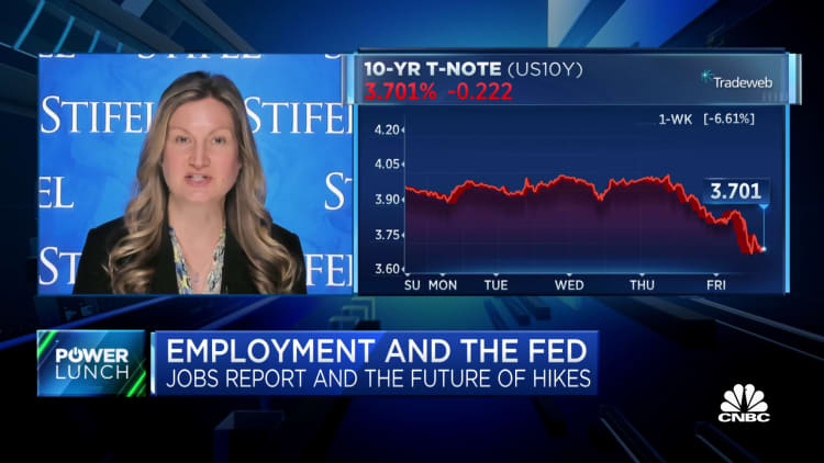 Fed's been clear a rate increase will cause a necessary period of pain, says Stifel's Lindsey Piegza