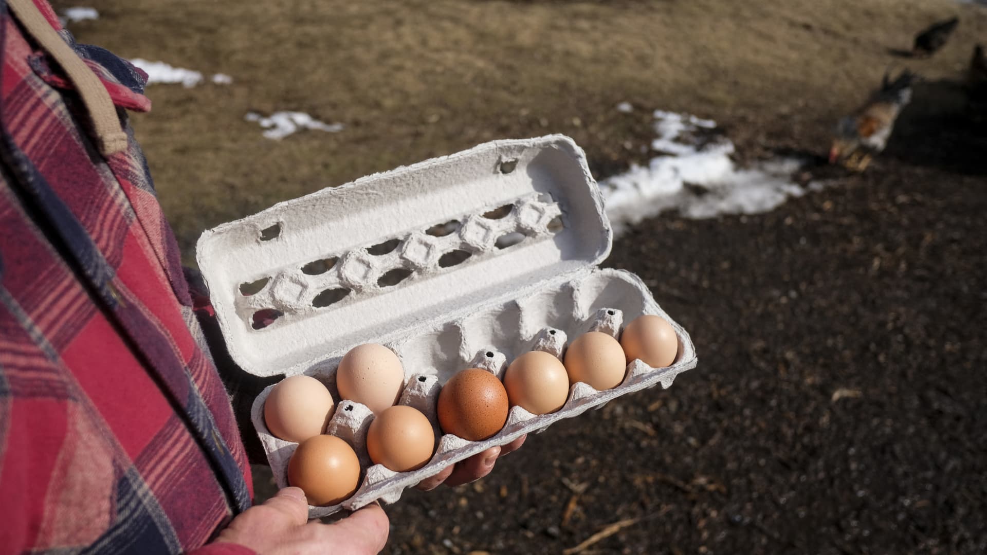 Retail egg prices fell in February — but price drop may not last long
