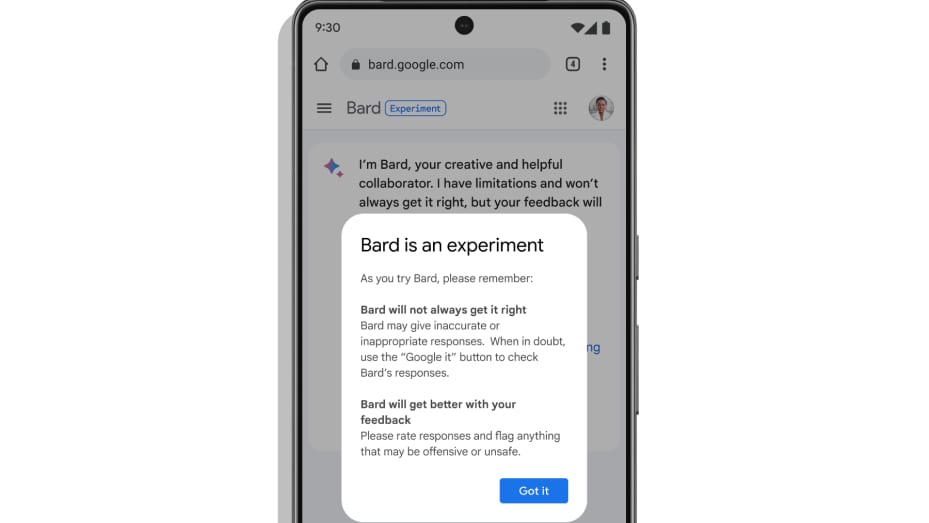 Google warns users Bard is an experimental product that may give "inaccurate or inappropriate responses."