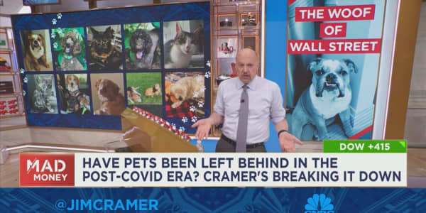 Cramer's brushing up on the top players on the pet space to gauge their next move