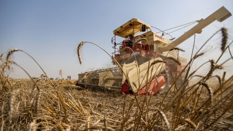A combine harvester cuts through a field during a wheat harvest at a farm in Karnal, Haryana, India, on Thursday, April 13, 2023. India, the world's second-biggest producer of wheat, rice, cotton and sugar cane, forecasts that the monsoon will be normal this year, potentially bolstering the outlook for agriculture production and economic growth. Photographer: Anindito Mukherjee/Bloomberg via Getty Images