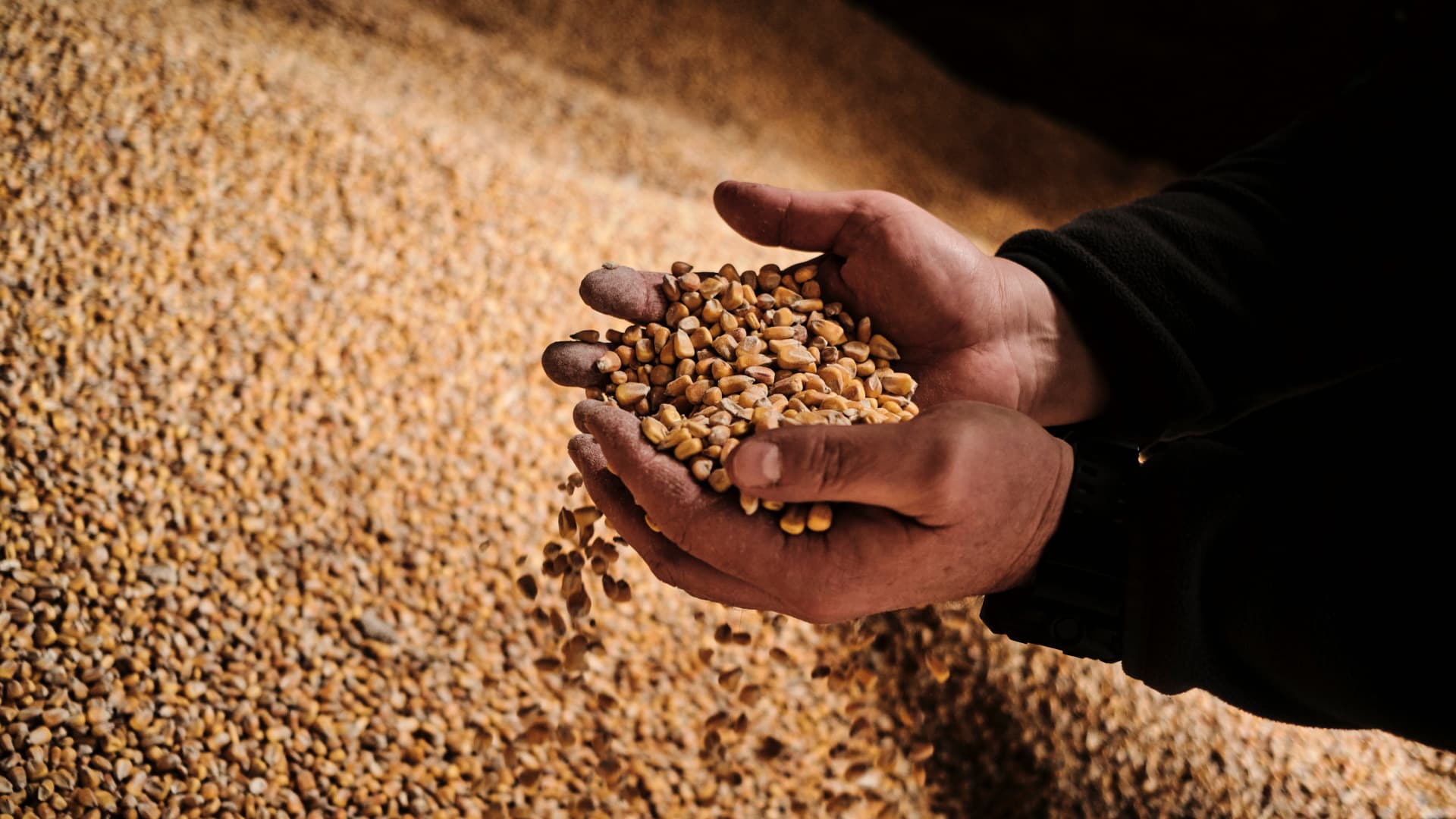 A farmer and member of the AgroUnia union inspects unsold corn grain stores on a farm in Sedziejowo, Poland, on Monday, April 17, 2023. 