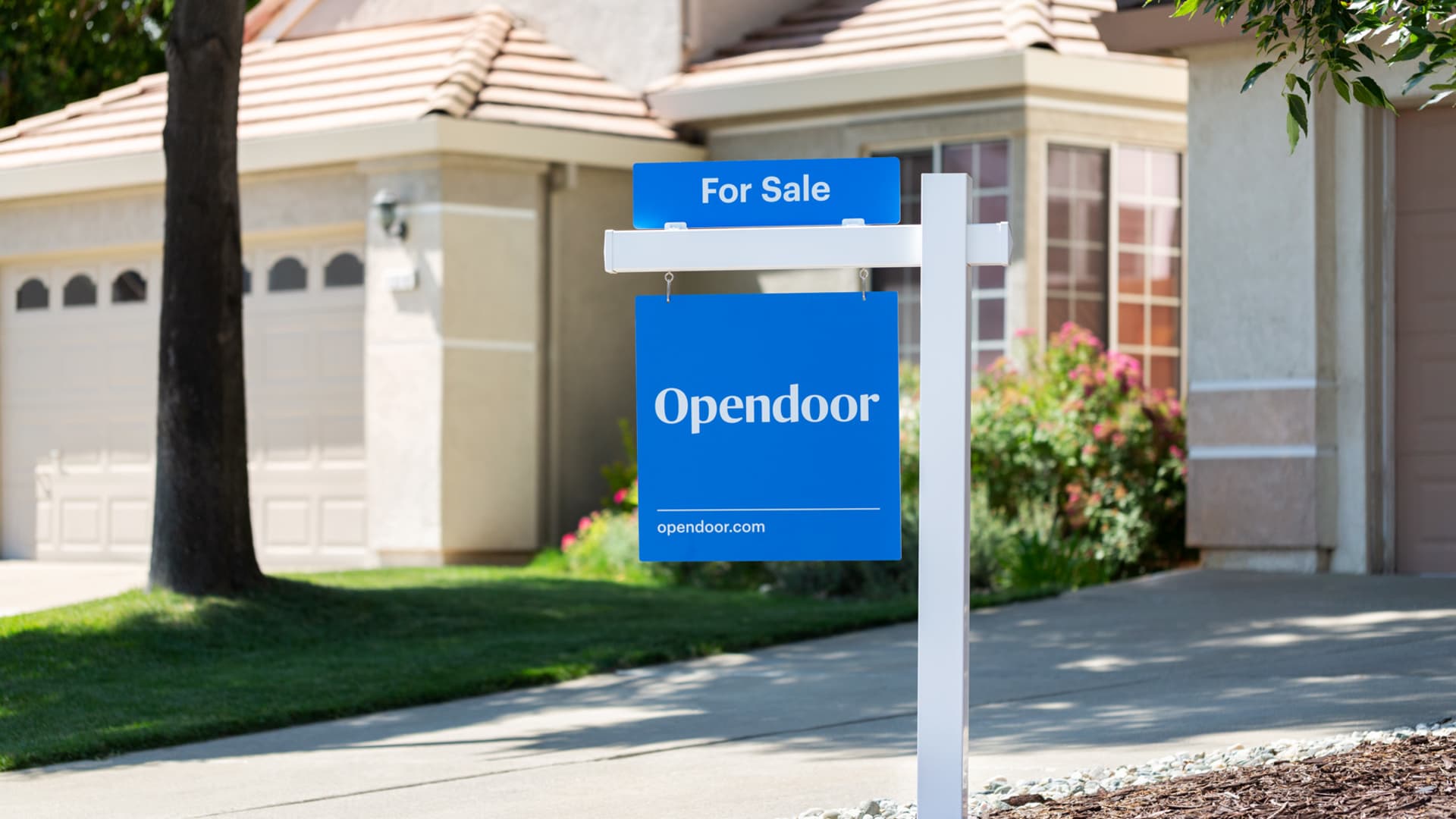 Online real estate firm Opendoor cuts 22% of workforce