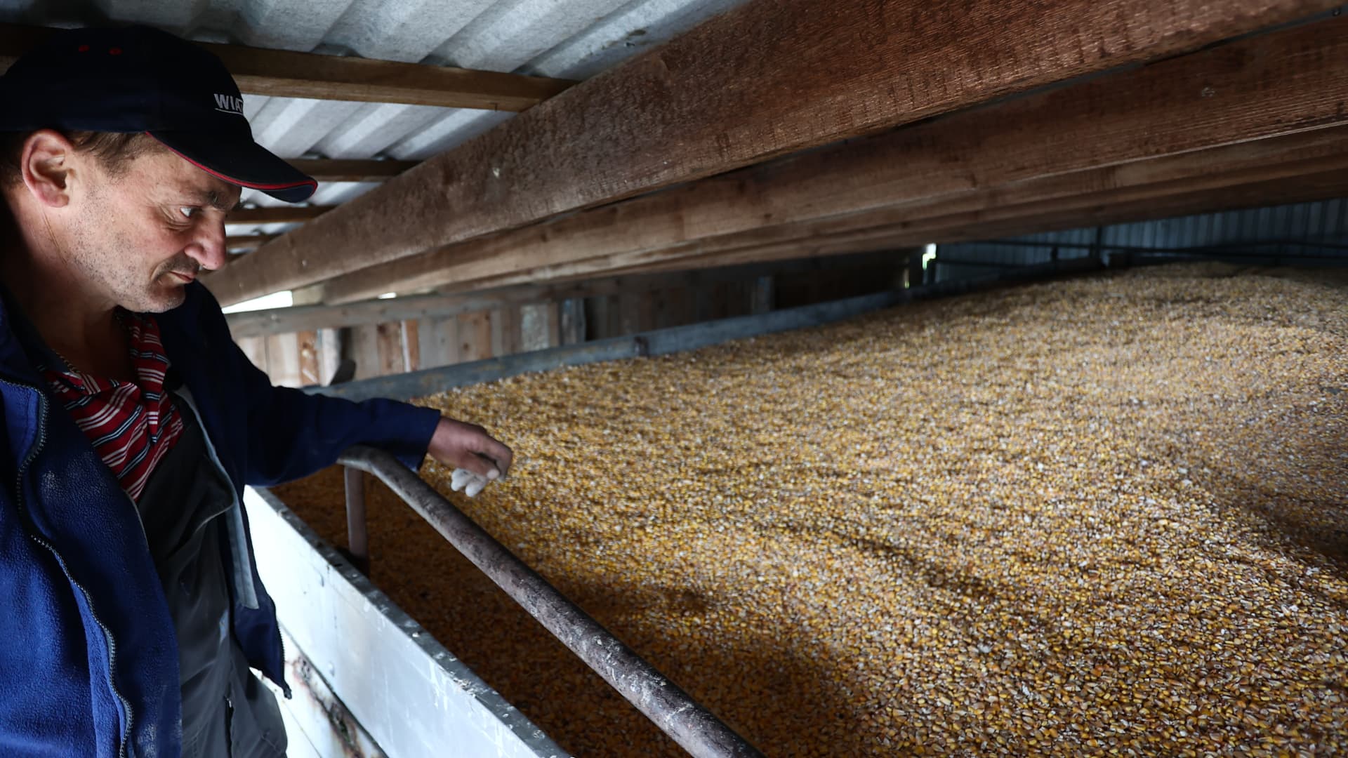 Farmer Artur Tabor shows wheat at his farm in Buczyna, Poland on April 25, 2023. Polish farmers protest as some Ukrainian grain and other products stay in the country during transport abroad. Ukrainian grain is cheaper than local, which has a strong impact on prices on the market. 