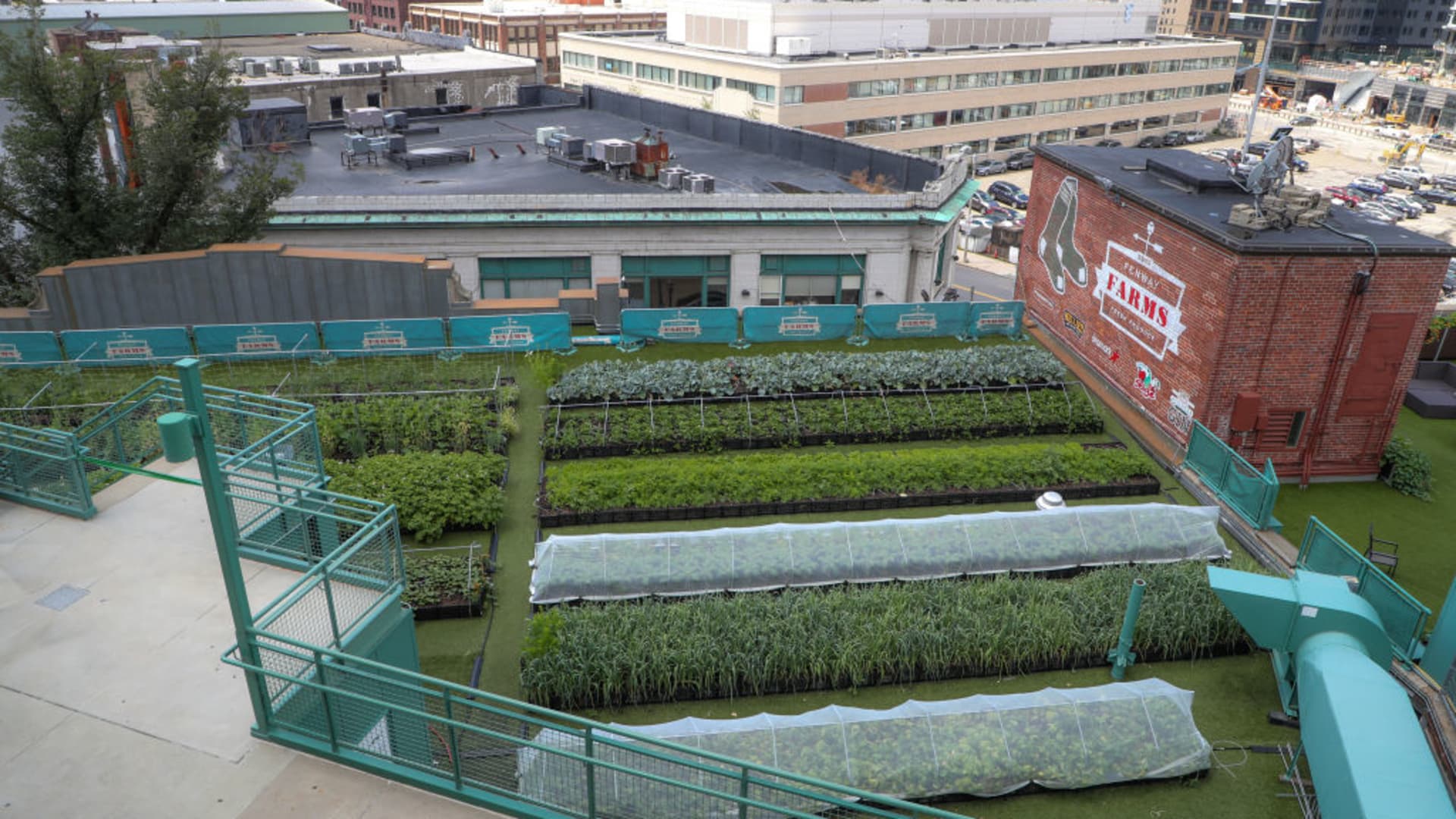 Fenway Farms, a roof top garden in Boston's Fenway Park, on July 6, 2020.