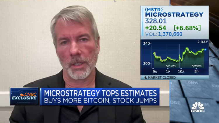 MicroStrategy's Michael Saylor says hold onto bitcoin and stomach the volatility