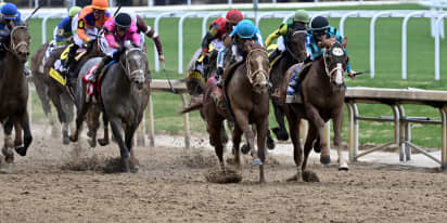 Churchill Downs, home of Kentucky Derby, suspends racing after 12 horses die