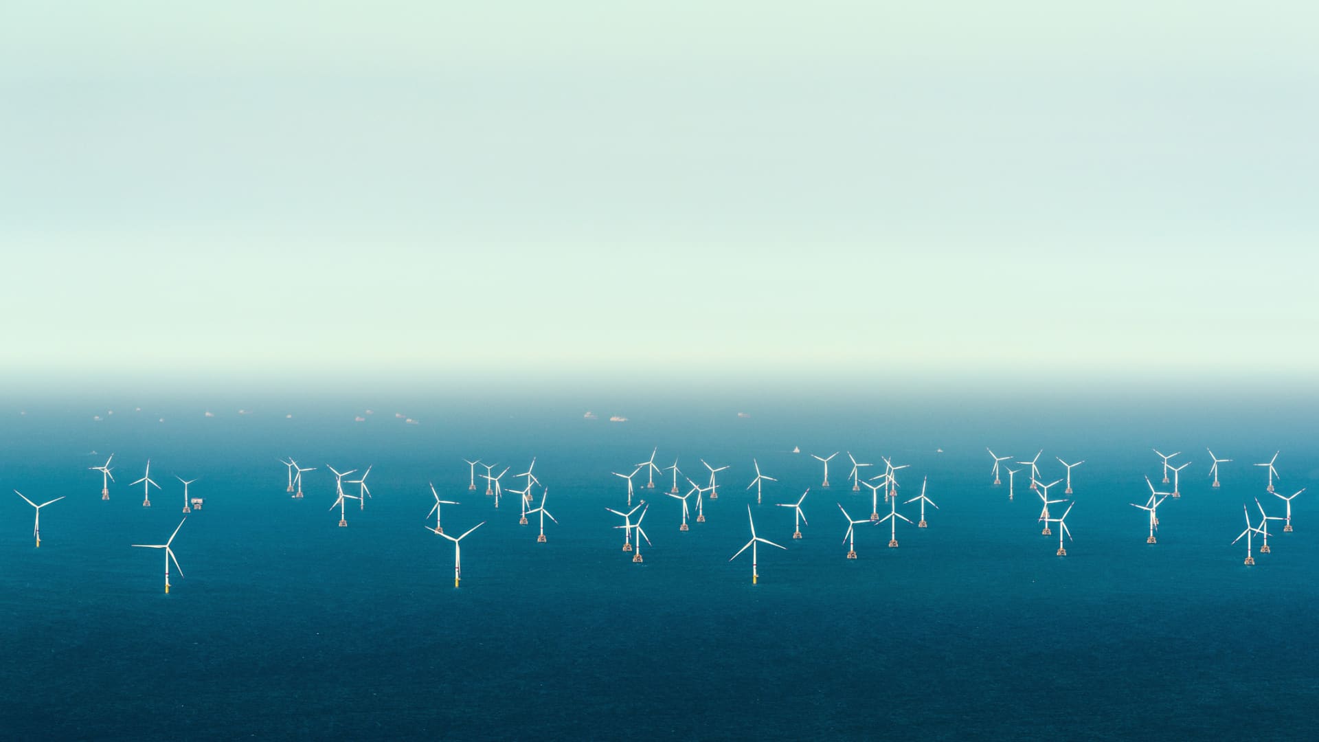 Dutch claim international first as North Sea offshore wind farms powered down to protect migratory birds