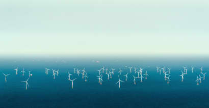 Offshore wind farms in North Sea powered down to protect migratory birds