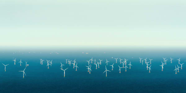 Dutch claim international first as North Sea offshore wind farms powered down to protect migratory birds