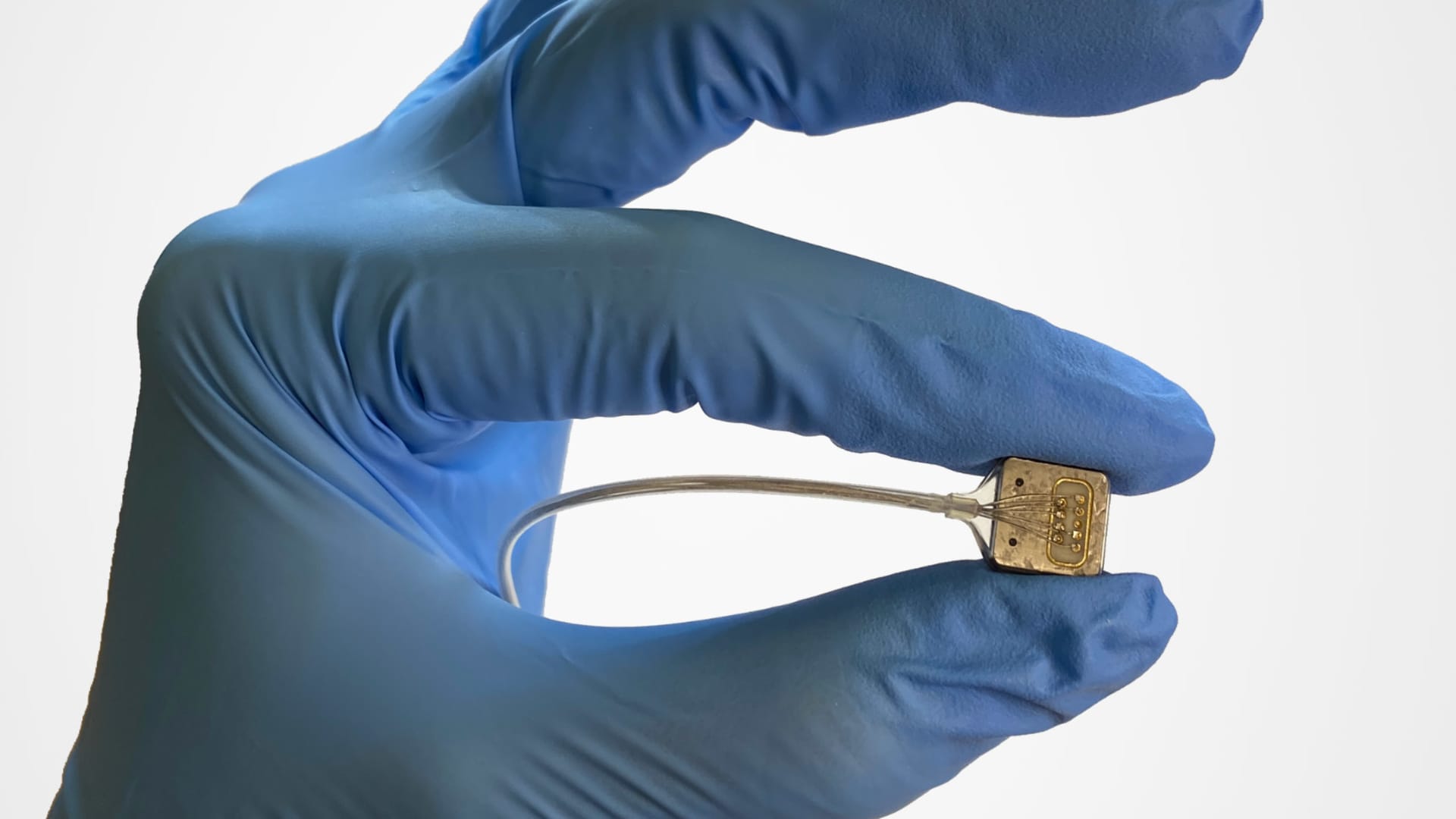 Neuralink competitor Paradromics gets one step closer to FDA approval for its brain implant