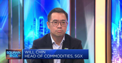 Iron ore and steel have become investable products: SGX head of commodities