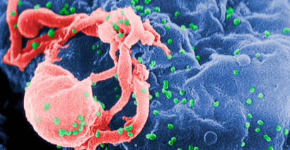HIV infections decline but most people at risk don't receive prevention drugs