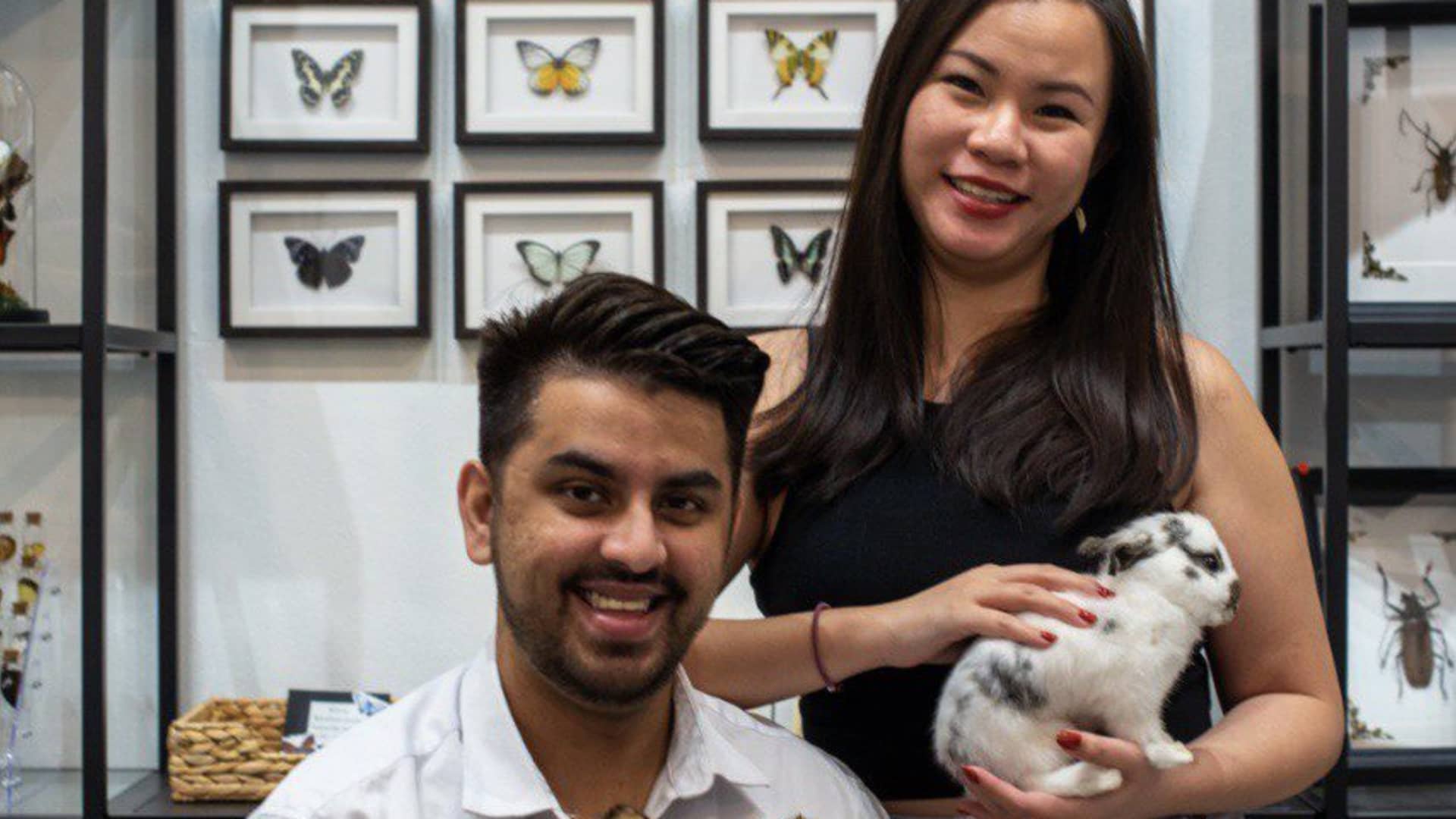This Singaporean couple runs a side business preserving dead animals — and it’s bringing in 5 figures a month