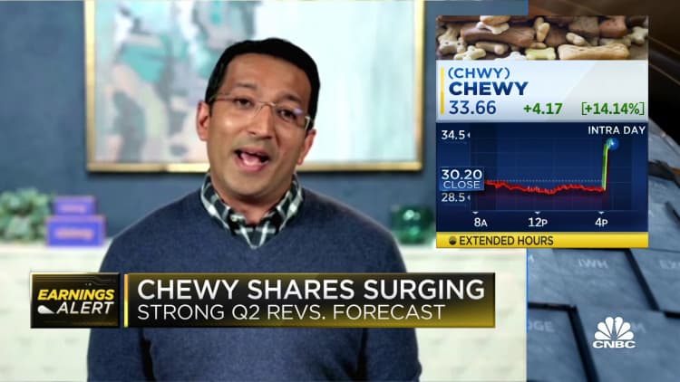 We're seeing tremendous consumer resilience in the pet sector, says Chewy CEO Sumit Singh