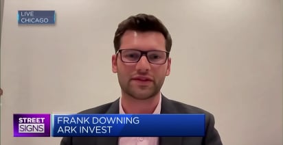 Ark Invest's Frank Downing reveals his top picks in the A.I. space