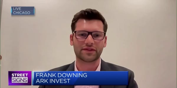 Ark Invest's Frank Downing reveals his top picks in the A.I. space