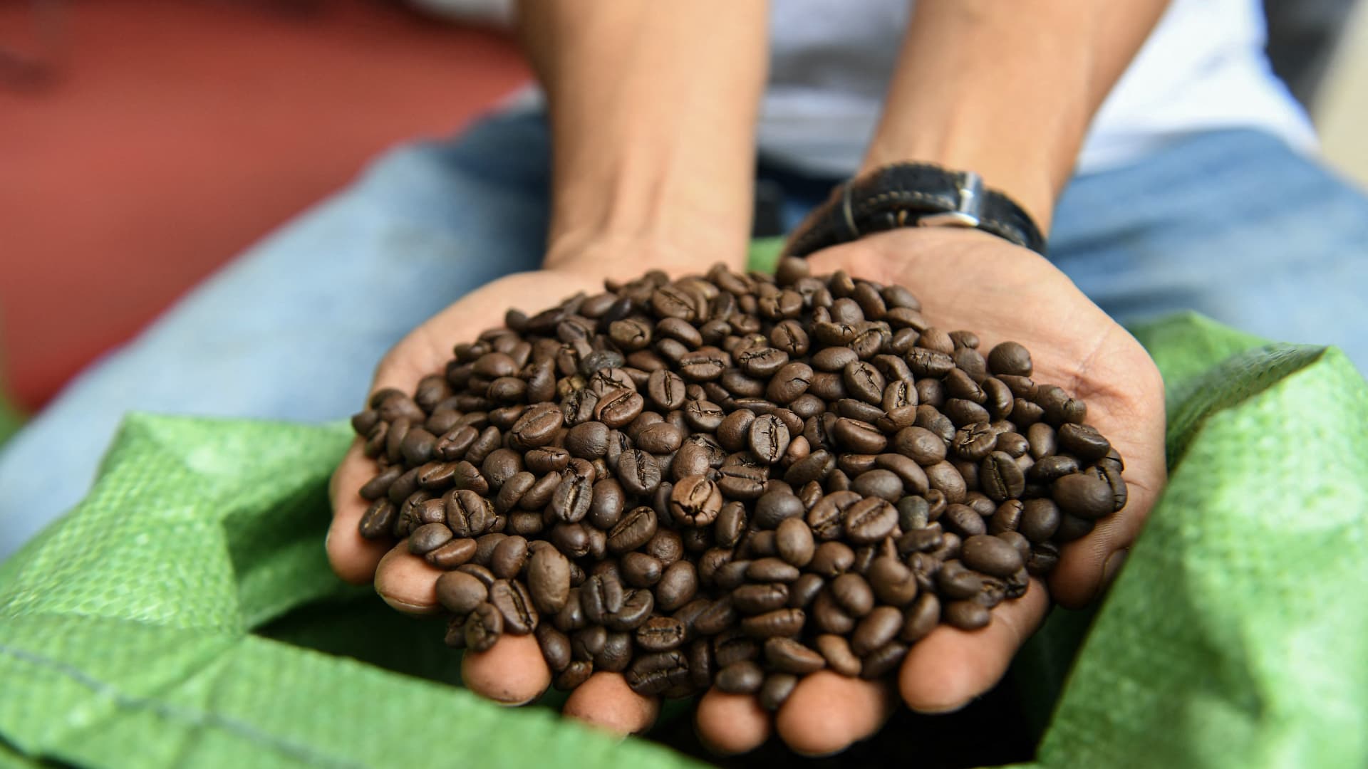 A man holding Robusta coffee beans at a coffee tasting fair in Buon Ma Thuot city in Daklak province, Vietnam. Bitter and earthy. fit for instant brews only.
