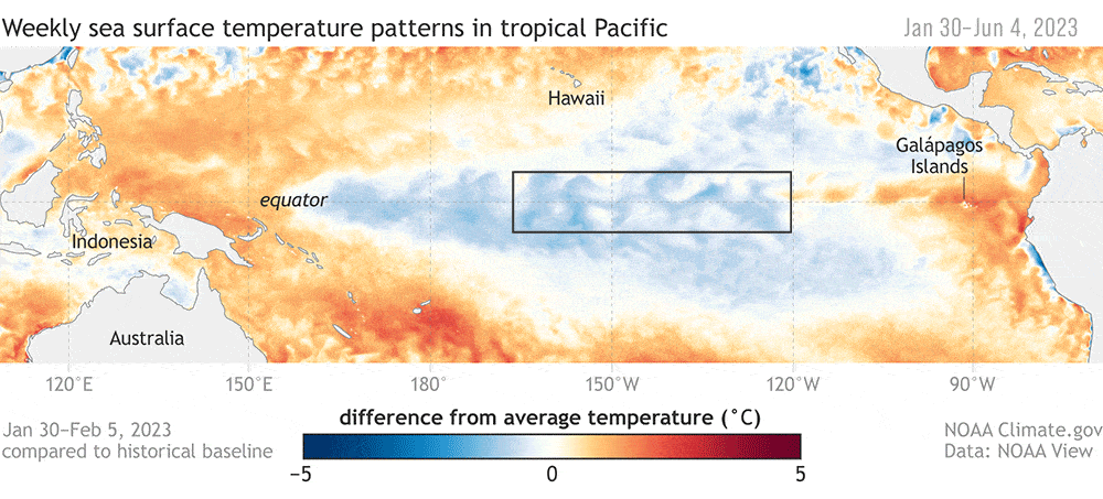 Patrones semanales de temperatura superficial del mar en el Pacífico tropical