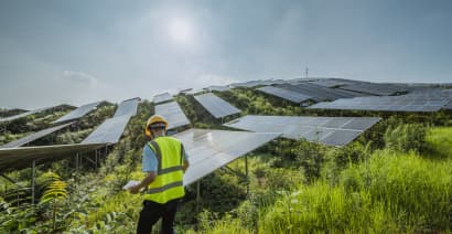 Citi says the clean energy investing opportunity is 'alive and well'