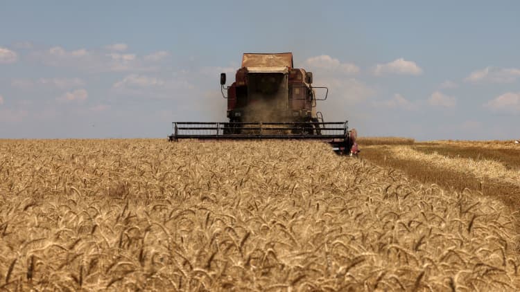Russia axes grain deal: What you need to know