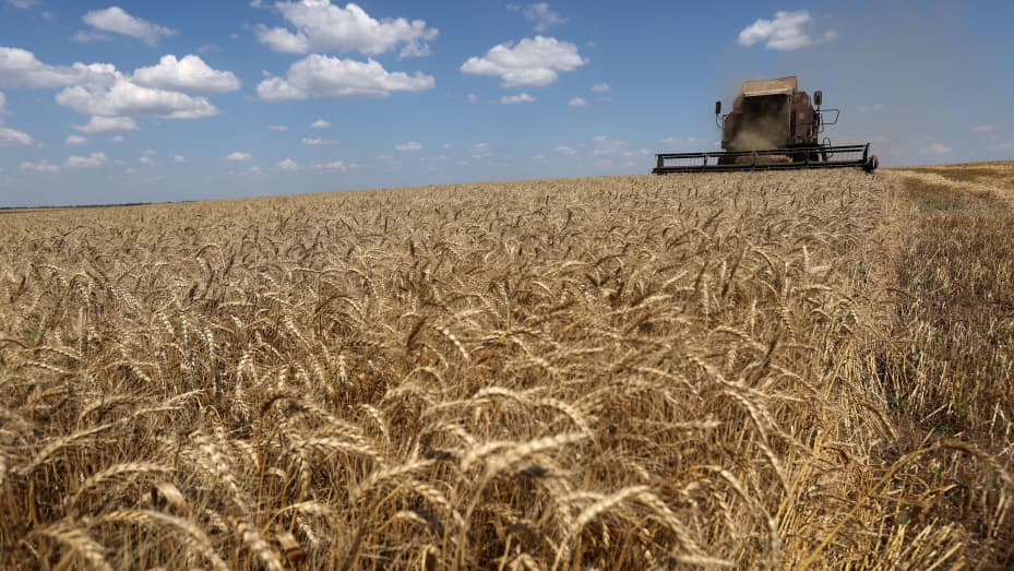 A combine harvests wheat on a field near Novosofiivka village, Mykolaiv region on July 4, 2023. Ukraine was one of the world's top grain producers, and the deal has helped soothe the global food crunch triggered by the conflict. Germany and Ukraine called on July 3, 2023 for the extension of a landmark deal that allows grain from Ukraine to reach the global market, which is set to expire soon. (Photo by Anatolii Stepanov / AFP) (Photo by ANATOLII STEPANOV/AFP via Getty Images)