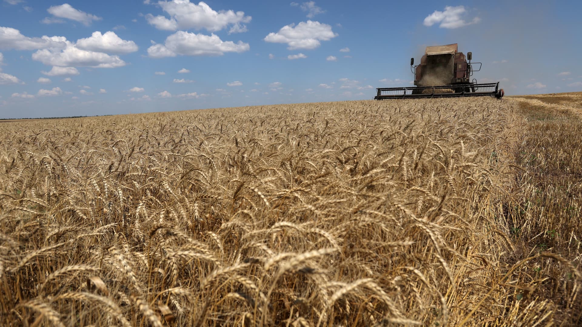 A combine harvests wheat on a field near Novosofiivka village, Mykolaiv region on July 4, 2023. 