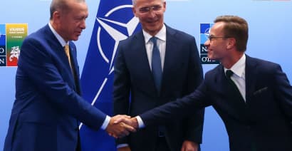 Sweden expects Turkey to approve its NATO membership 'within weeks'