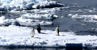 Antarctic sea ice has been at record low levels for months — what that means