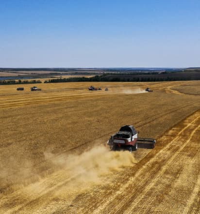 Wheat prices jump after Russia halts Ukraine grain deal