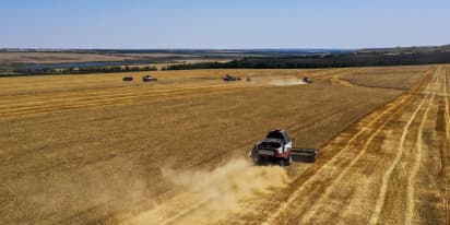 Wheat prices jump after Russia halts Ukraine grain deal